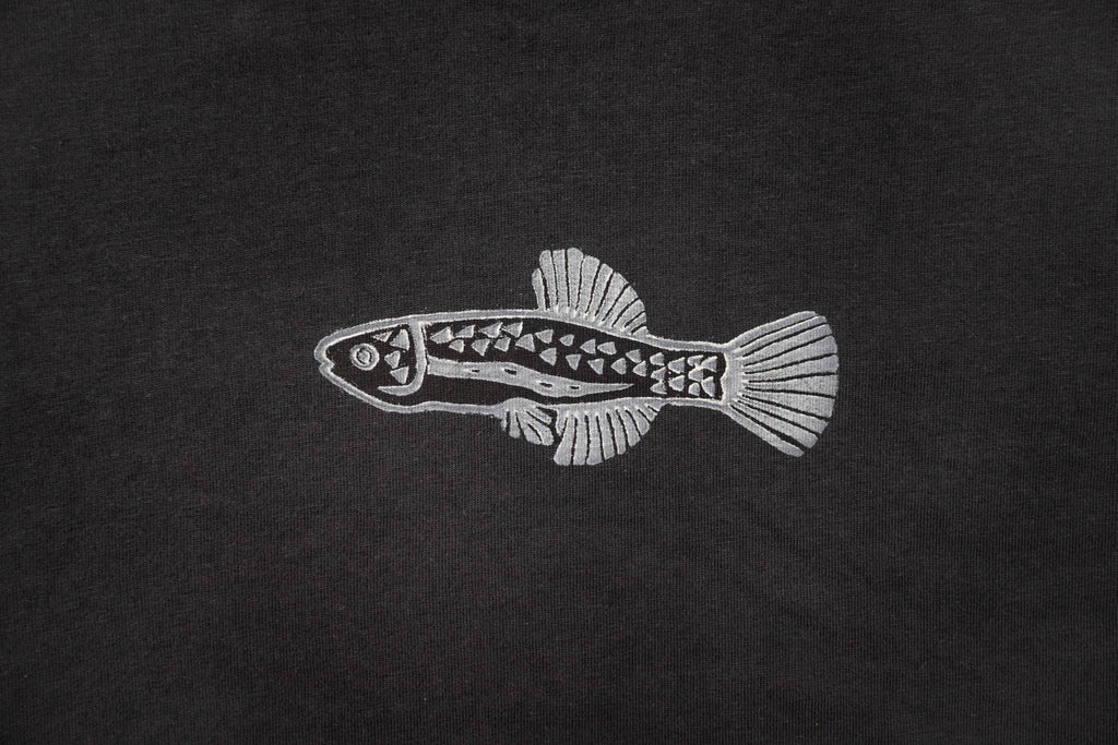 Killifish Tee - Night