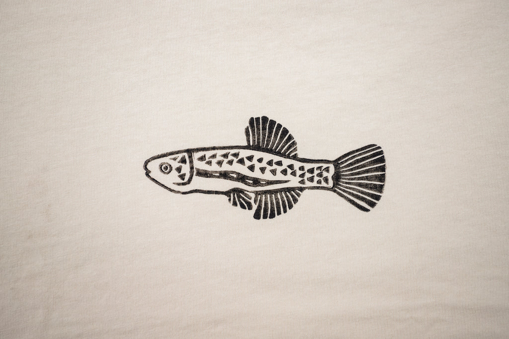 Killifish Tee - Day