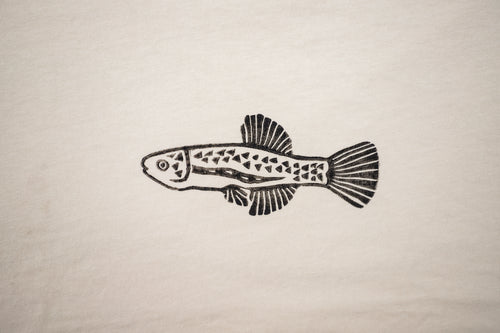 Killifish Tee - Day